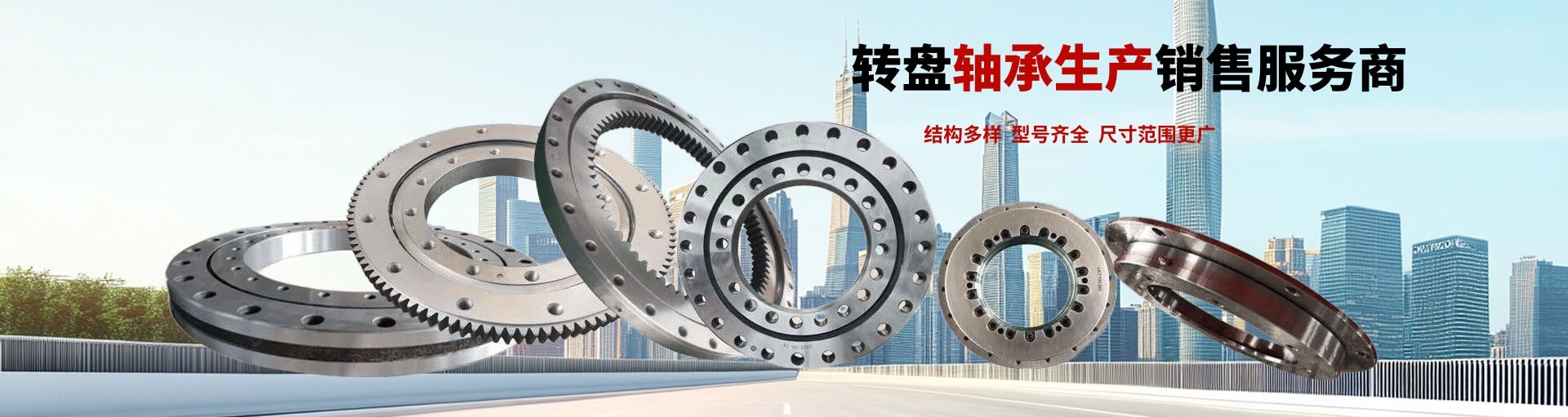 轉(zhuǎn)盤軸承